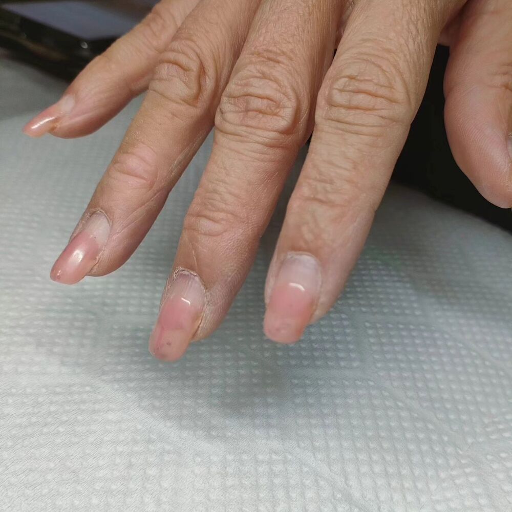 画像1356